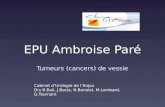 EPU Ambroise Paré