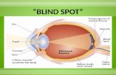 “BLIND SPOT”