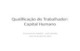 Qualificação do Trabalhador: Capital Humano