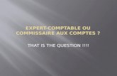 EXPERT-COMPTABLE OU COMMISSAIRE AUX COMPTES ?
