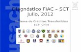 Diagnóstico  FIAC  – SCT Julio, 2012