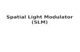 Spatial Light Modulator (SLM)