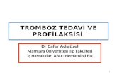 Venöz Tromboemboliler (VTE)