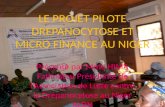 LE PROJET PILOTE DREPANOCYTOSE ET MICRO FINANCE AU NIGER