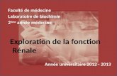 Faculté de médecine Laboratoire de biochimie 2 ème  année médecine