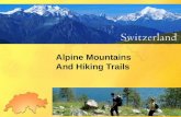 Alpine Mountains And Hiking Trails