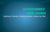 Nyhedsbrev  KDE linjen