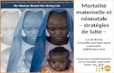 Mortalité maternelle et néonatale – stratégies de lutte – Luc de Bernis