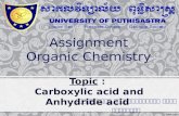 Assignment  Organic Chemistry