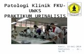 Patologi Klinik  FKU-UWKS PRAKTIKUM URINALISIS