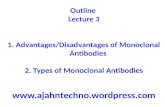 Outline  Lecture  3 Advantages/Disadvantages of  Monoclonal  Antibodies