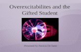 Overexcitabilites and the Gifted Student