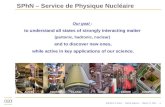 SPhN  – Service de Physique Nucléaire