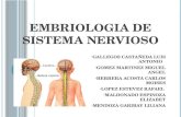 EMBRIOLOGIA DE SISTEMA NERVIOSO
