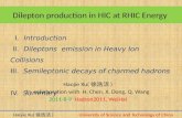 Dilepton  production in HIC at RHIC Energy