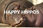 HAPPY HIPPOS