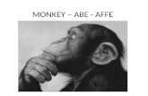 MONKEY – ABE - AFFE
