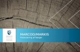 Marcod /markis