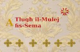 Tlug ħ il-Mulej fis-Sema