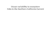 Ocean variability to ecosystem links in the Northern California Current