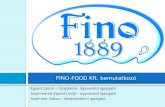 FINO-FOOD Kft. bemutatkozó