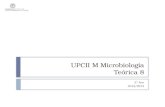 UPCII M Microbiologia Teórica  8