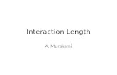 Interaction Length