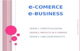 e -COMERCE e -BUSINESS