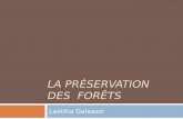 La Préservation des  forêts