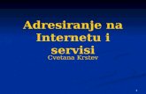 Adresiranje na Internetu i servisi