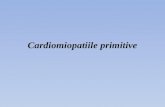Cardiomiopatiile  primitive