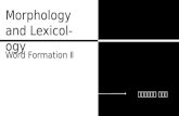Morphology  and Lexicology