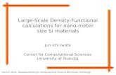 Large-Scale Density-Functional calculations for nano-meter size Si materials