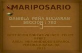 INTITUCION EDUCATIVA INEM  FELIPE  PéREZ   área:  HUMANIDADES-ESPAÑOL PEREIRA-RISARALDA 2013
