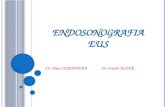 Endosonografia EUS