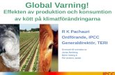 R K Pachauri Ordförande, IPCC Generaldirektör, TERI Översatt till svenska av Jonas Norberg,