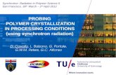 PROBING  POLYMER CRYSTALLIZATION  IN PROCESSING CONDITIONS  (using synchrotron radiation)
