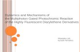 Dynamics and Mechanisms of  the  Multiphoton  Gated  Photochromic  Reaction