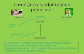 Læringens fundamentale processer