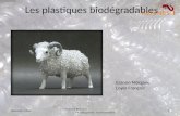 Les plastiques biodégradables