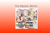 The Bipolar World