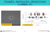 Single molecule  detection ( LAMDA-P )