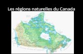 Les régions naturelles du Canada