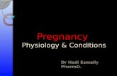 Pregnancy  Physiology & Conditions