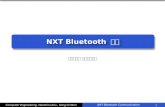 NXT Bluetooth  통신