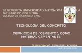 BENEMERITA UNIVERSIDAD AUTONOMA DE PUEBLA FACULTAD DE INGENIERIA COLEGIO DE INGENIERIA CIVIL