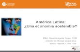 América Latina: ¿ Una  economía sostenible?