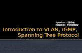 Introduction t o VLAN , IGMP, Spanning Tree Protocol