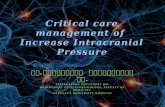Critical care  management of  Increase Intracranial Pressure