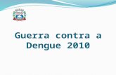 Guerra contra a Dengue 2010